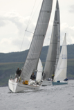 animal gbr1952l whw12 tues gjmc 7111